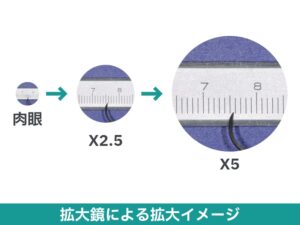 拡大鏡による拡大イメージ